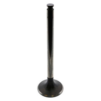 TRW® - Exhaust Valve