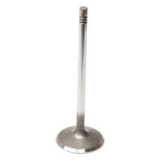 TRW® - Intake Valve