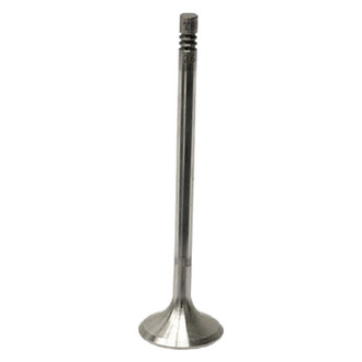 TRW® - Exhaust Valve