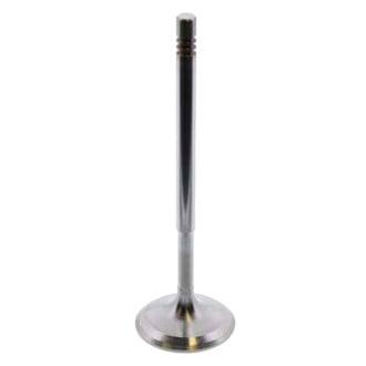 TRW® - Intake Valve