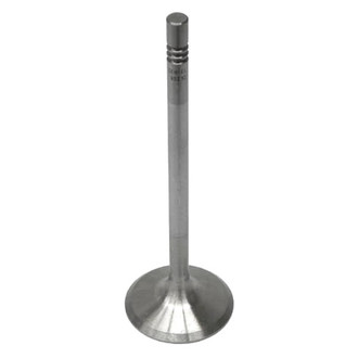 TRW® - Exhaust Valve