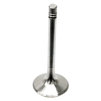 TRW® - Exhaust Valve