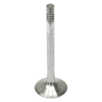 TRW® - Exhaust Valve