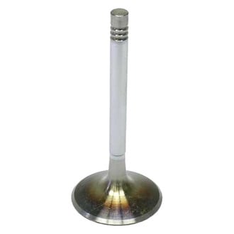 TRW® - Intake Valve