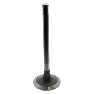 TRW® - Intake Valve