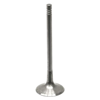 TRW® - Engine Valve