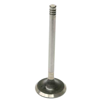 TRW® - Intake Valve