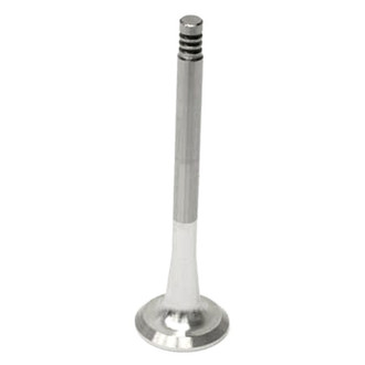 TRW® - Exhaust Valve
