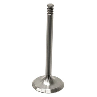 TRW® - Intake Valve