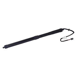 Tuff Support® - Liftgate Lift Supports