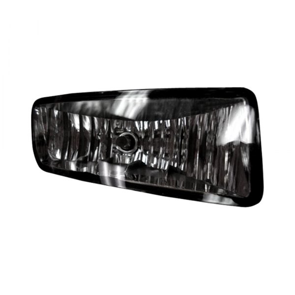 TYC® - Passenger Side Replacement Fog Light, Ford Expedition