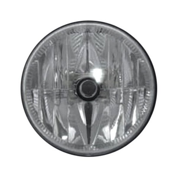 TYC® - Driver Side Replacement Fog Light, Ford F-150