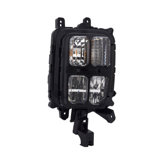 TYC® - Passenger Side Replacement Turn Signal Light (Value Line)