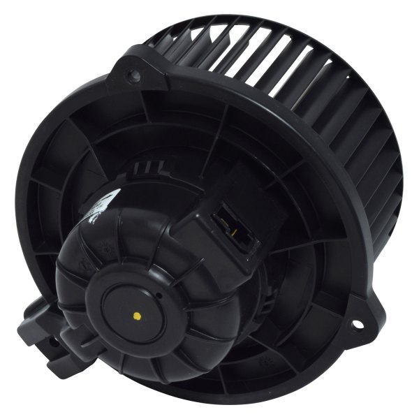 water slide blower motor