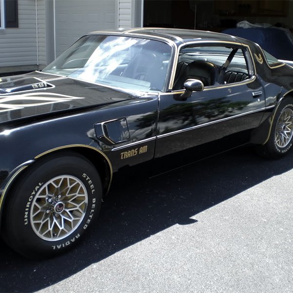 UNIROYAL® - STEEL BELTED RADIAL Tires on Pontiac Firebird Trans Am