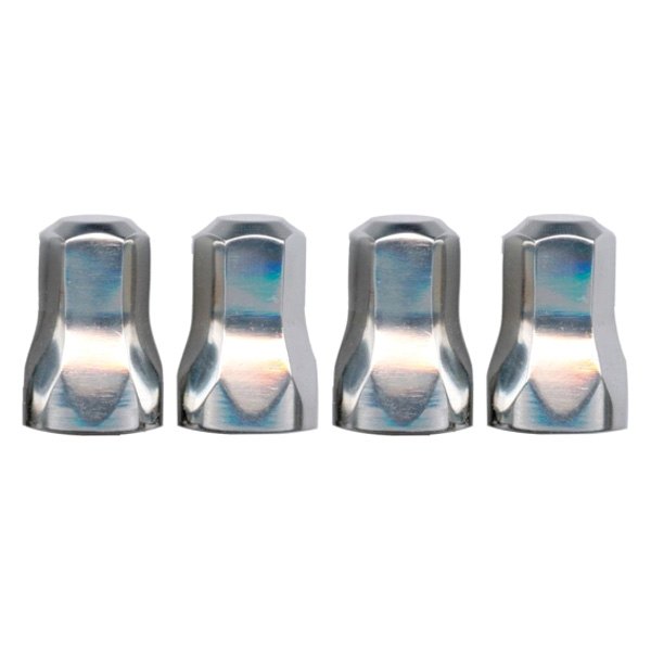 United Pacific® - Stainless Steel Air Cleaner Nut Set