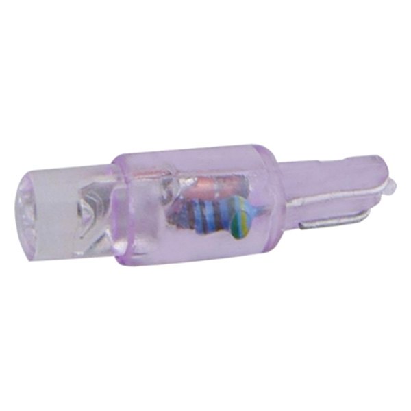 United Pacific® - Micro LED Bulbs (37, Purple)