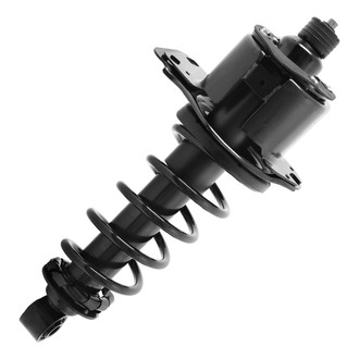 Unity® - Rear Passenger Side Complete Strut Assembly