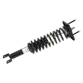 Unity® - Rear Complete Strut Assemblies