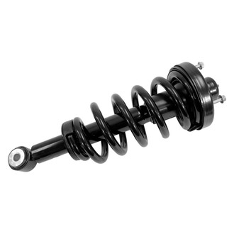 Unity® - Rear Driver or Passenger Side Complete Strut Assembly