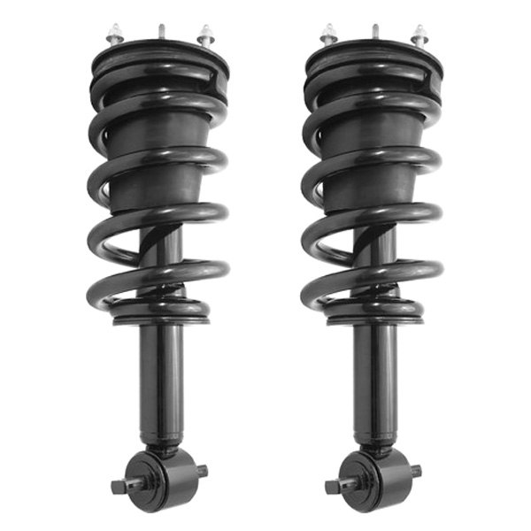 Unity Automotive® - Front Complete Strut Assemblies