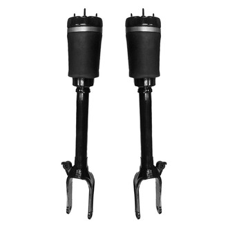 Unity® - Rear Air Complete Strut Assemblies
