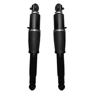 Unity® - Rear Air Complete Strut Assemblies