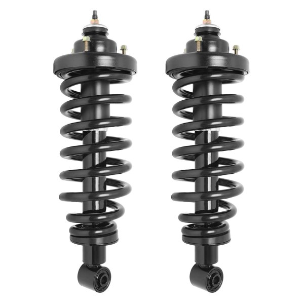 Unity Automotive® - Rear Complete Strut Assemblies