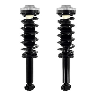 Unity® - Rear Complete Strut Assemblies
