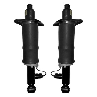 Unity® - Rear Non-Electronic Air Complete Strut Assemblies