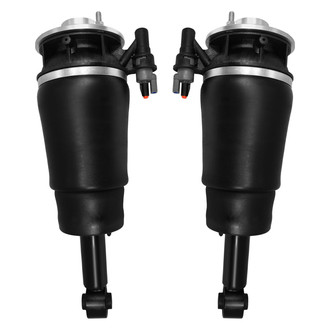 Unity® - Rear Non-Electronic Air Complete Strut Assemblies