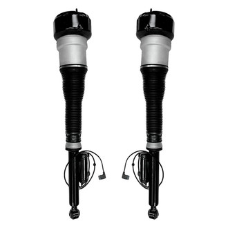 Unity® - Rear Electronic Air Complete Strut Assemblies