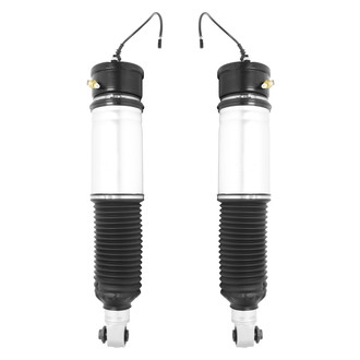 Unity® - Rear Electronic Air Complete Strut Assemblies
