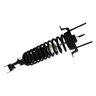 Unity® - Rear Driver or Passenger Side Complete Strut Assembly