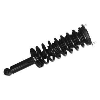 Unity® - Rear Driver or Passenger Side Complete Strut Assembly