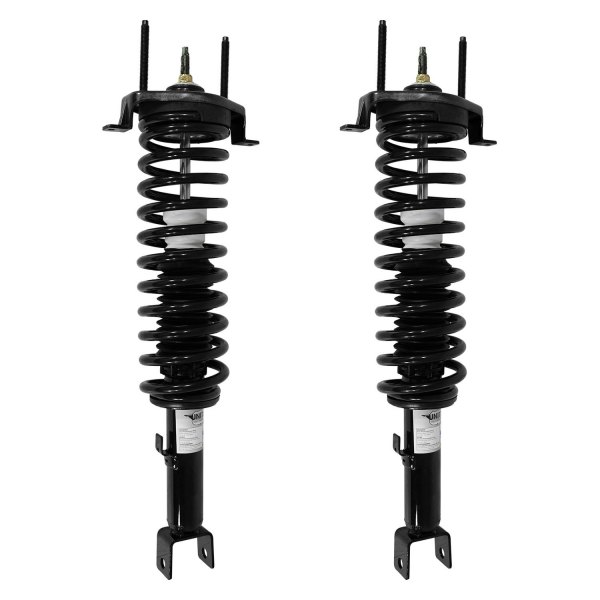 Unity Automotive® - Rear Complete Strut Assemblies