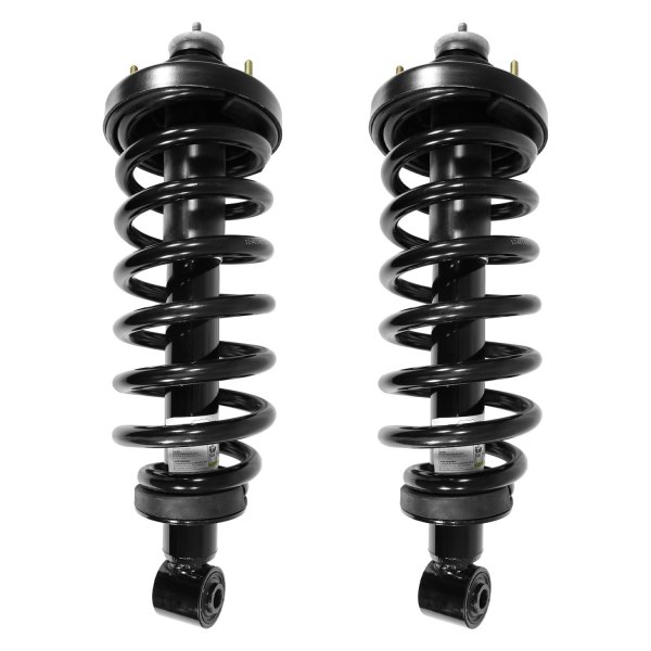 Unity Automotive® - Rear Complete Strut Assemblies