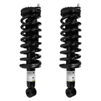 Unity® - Rear Complete Strut Assemblies