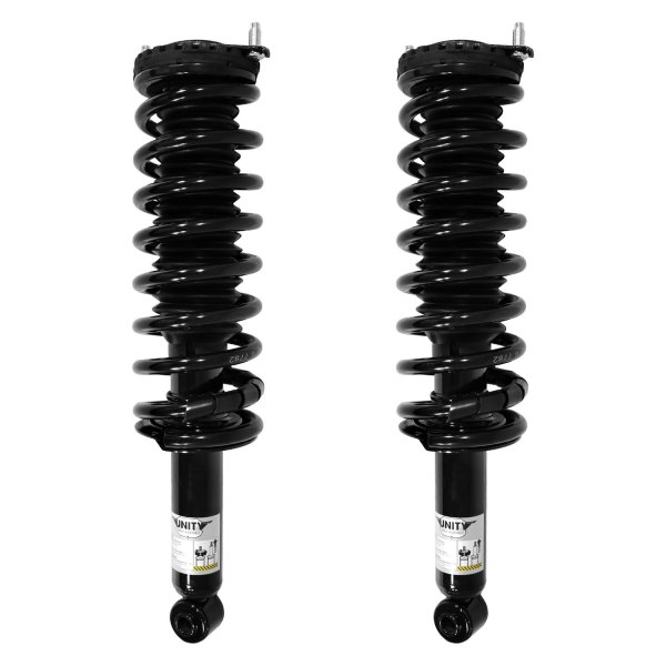 Unity Automotive® 2-15870-001 - Rear Complete Strut Assemblies