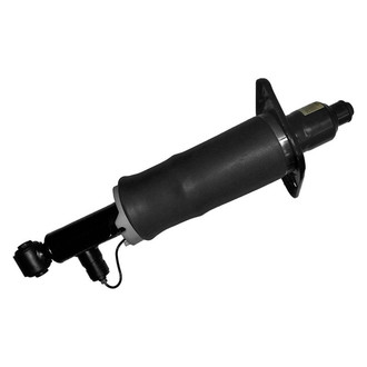 Unity® - Rear Driver Side Non-Electronic Air Complete Strut Assembly