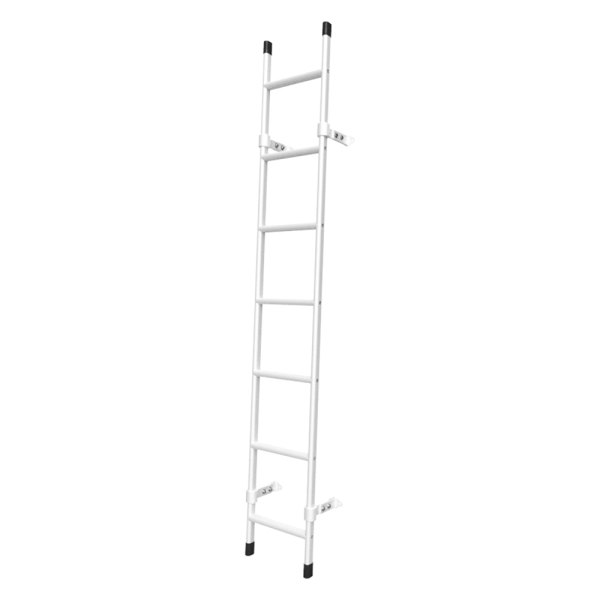 Vantech® - Straight Rear Access Ladder