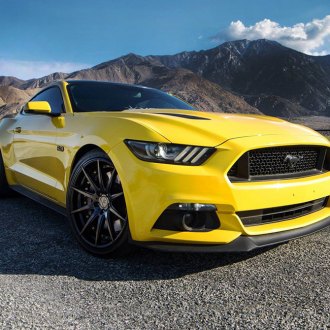 VERDE® - INSIGNIA Satin Black Ford Mustang GT