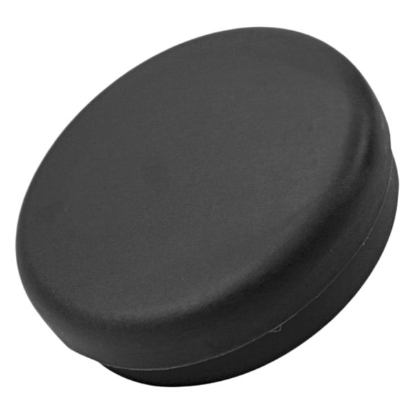Viair® - 3/8" NPT Black Plastic Direct Inlet Air Filter