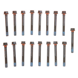 Mahle® - OEM Standard Cylinder Head Bolt Set without Washers