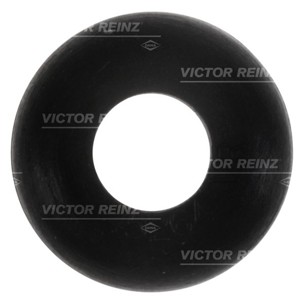 Victor Reinz® - Engine Valve Stem Oil Seal Set