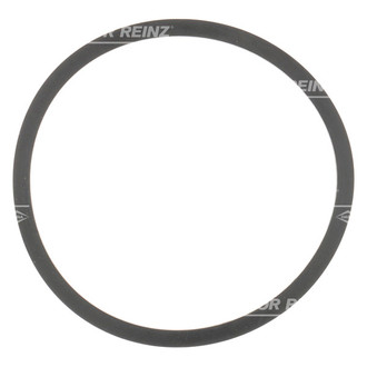 Victor Reinz® - Water Pump Gasket