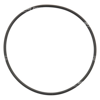 Victor Reinz® - Water Pump Gasket