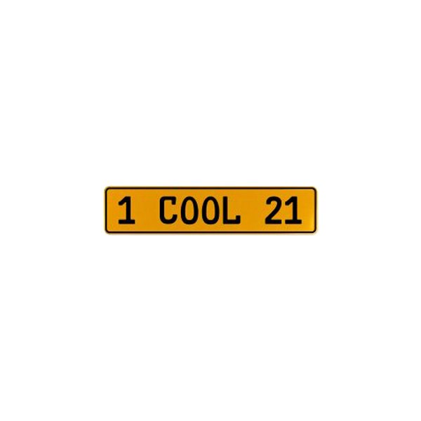 Vintage Parts® - Street Sign Mancave Euro License Plate Name Door Sign Wall with 1 COOL 21 Text