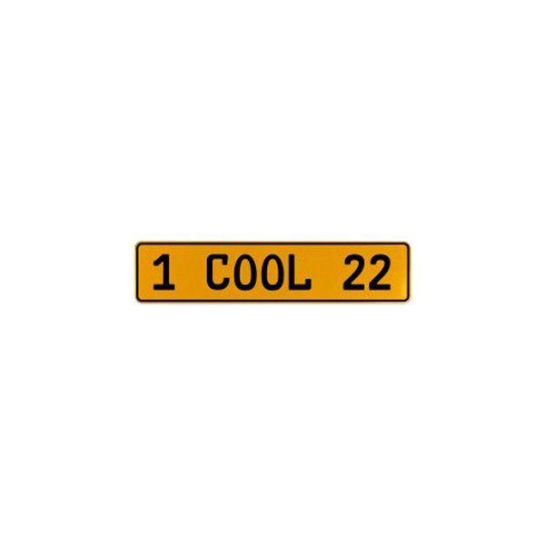 Vintage Parts® - Street Sign Mancave Euro License Plate Name Door Sign Wall with 1 COOL 22 Text