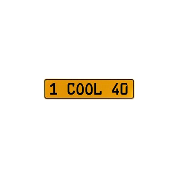 Vintage Parts® - Street Sign Mancave Euro License Plate Name Door Sign Wall with 1 COOL 40 Text